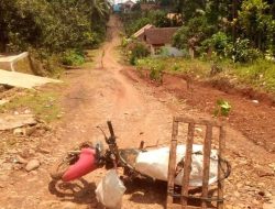 Jalan Poros Penghubung Antar Kampung Dan Antar Kabupaten Yang Ada Di Wilayah Kampung Bonglai, Kecamatan Banjit Rusak Parah Tak Kunjung Diperbaiki