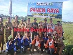 Dandim 0427/ Way kanan bersama forkopimda way kanan hadiri panen raya di kecamatan Buay Bahuga