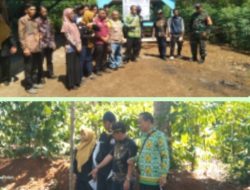 Monitoring dan Evaluasi Dana Desa 2025 Kampung Kota Way, Fokus pada Pembangunan dan Ketahanan Pangan