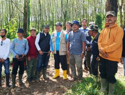 Penyimbang Adat Pemuka Pangeran Udik Blambangan Umpu turun ke lokasi PTPN VII Bapu. Kaget lihat lahan hancur akibat penyerobotan lahan dan Tambang Ilegal 