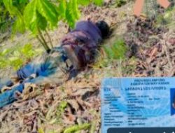 Maut Mengintai di Kegelapan TNBBS, Buruh Tani Way Kanan Tewas Diserang Kawanan Gajah.