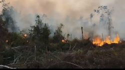 Lapor Kapolres Waykanan Harap Di Tindak Tegas Pelaku Pembakaran Hutan Agar Mendapatkan efek Jera